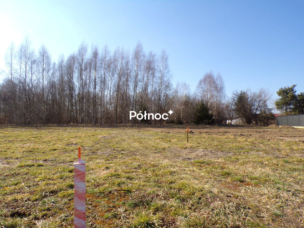 Zdjęcie 7