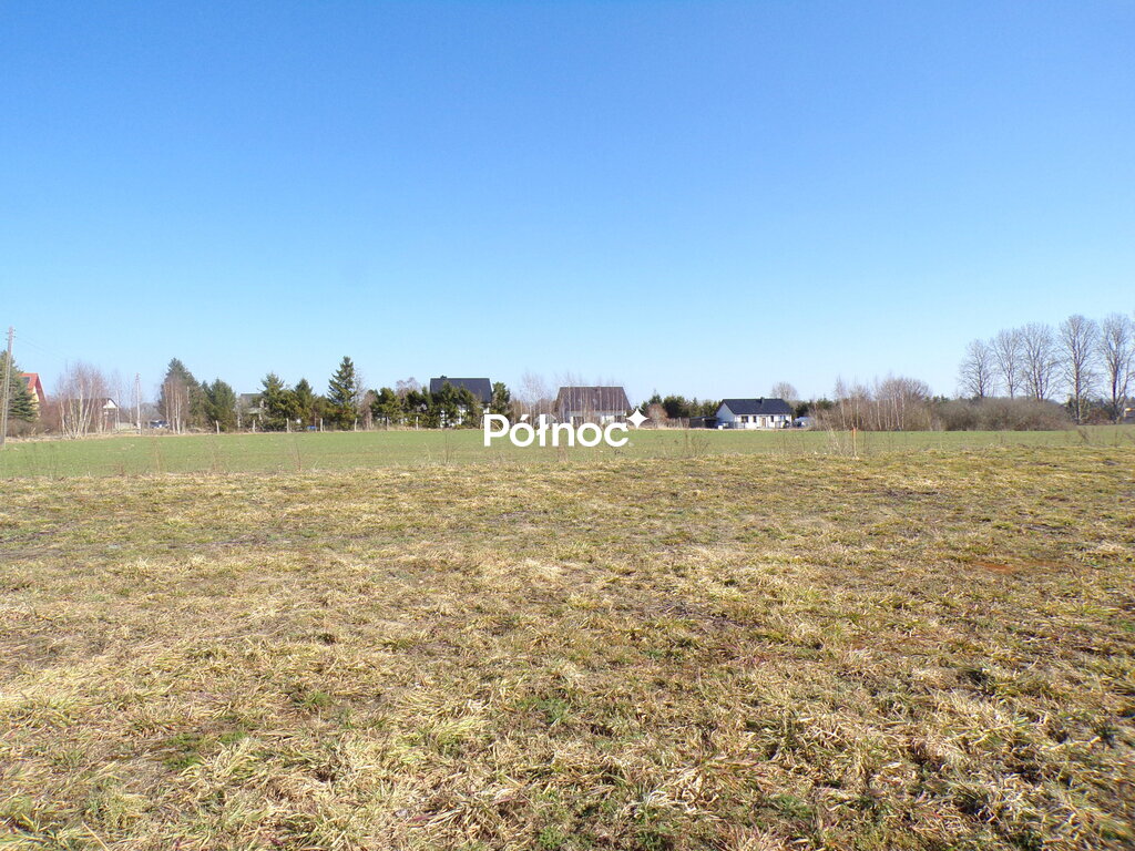 Zdjęcie 8