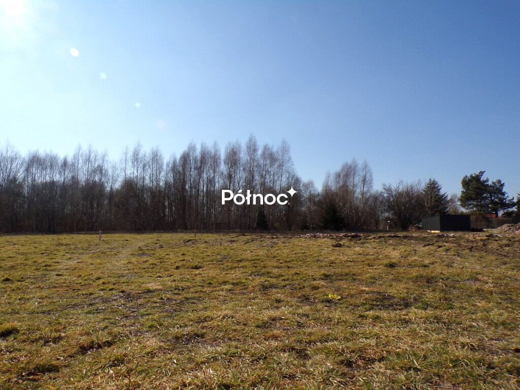 Zdjęcie 9