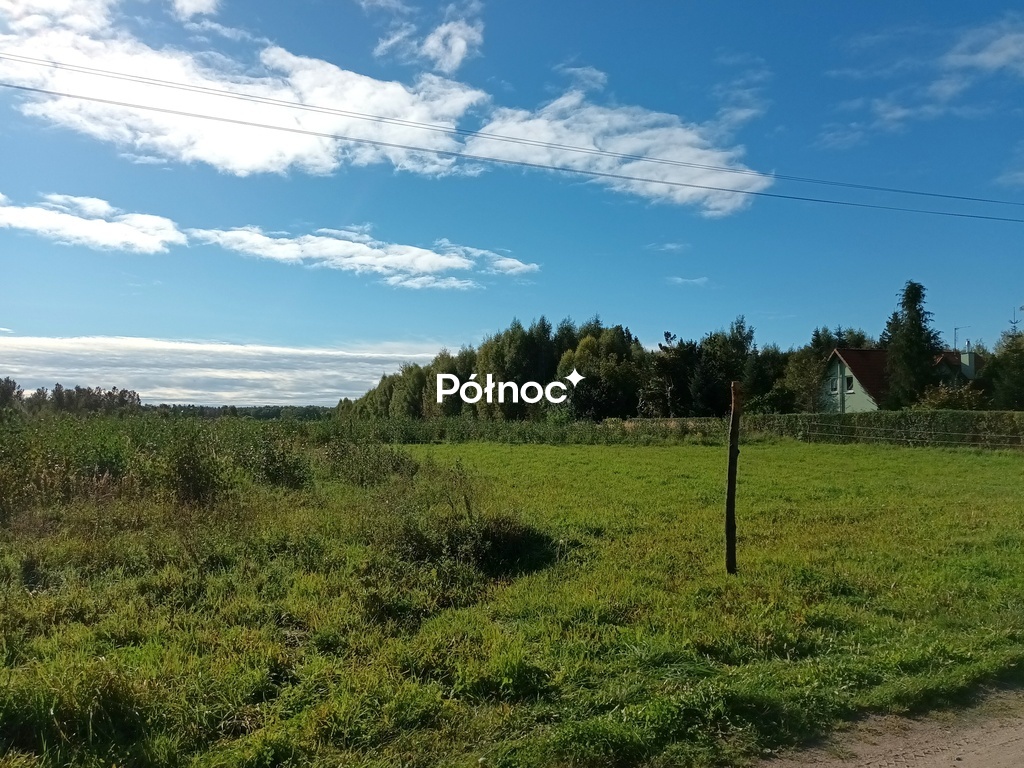 Zdjęcie 11