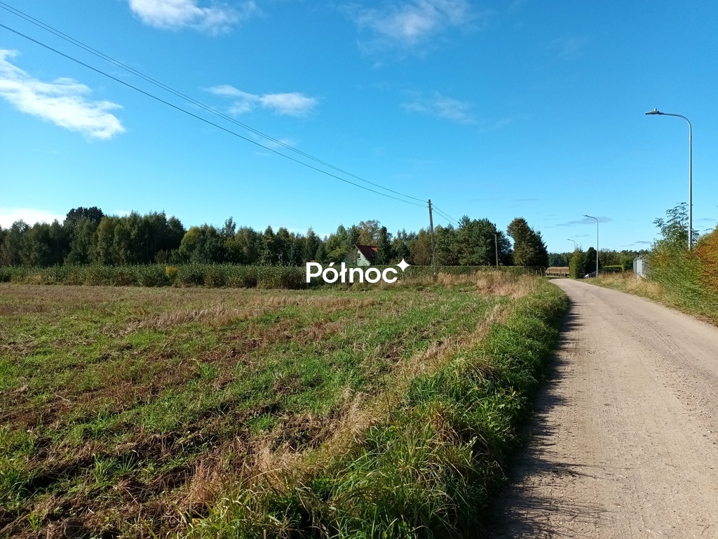 Zdjęcie 12