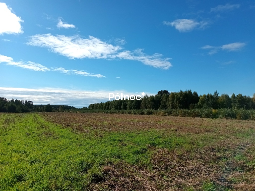 Zdjęcie 13