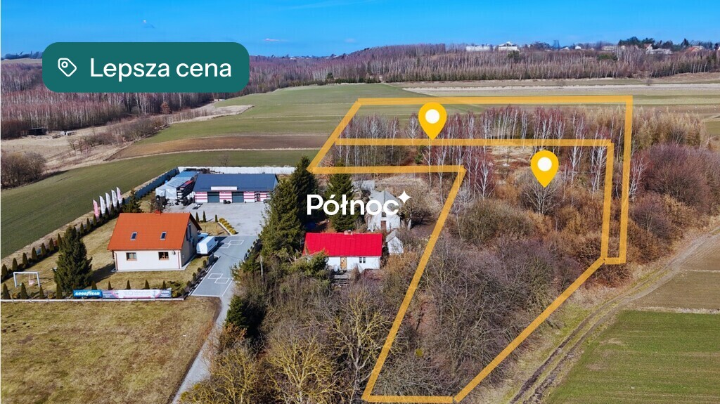 Zdjęcie 2