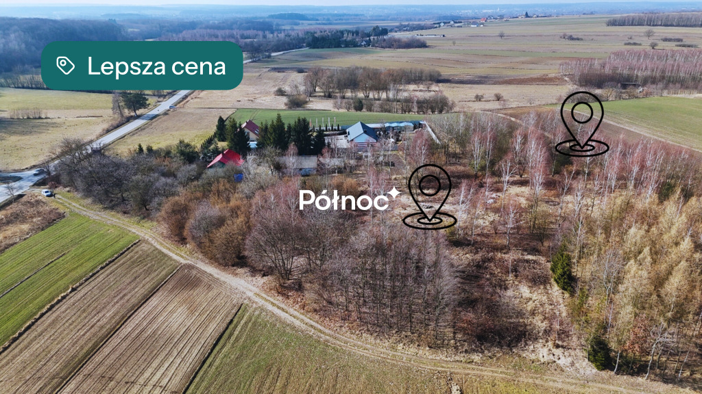 Zdjęcie 5