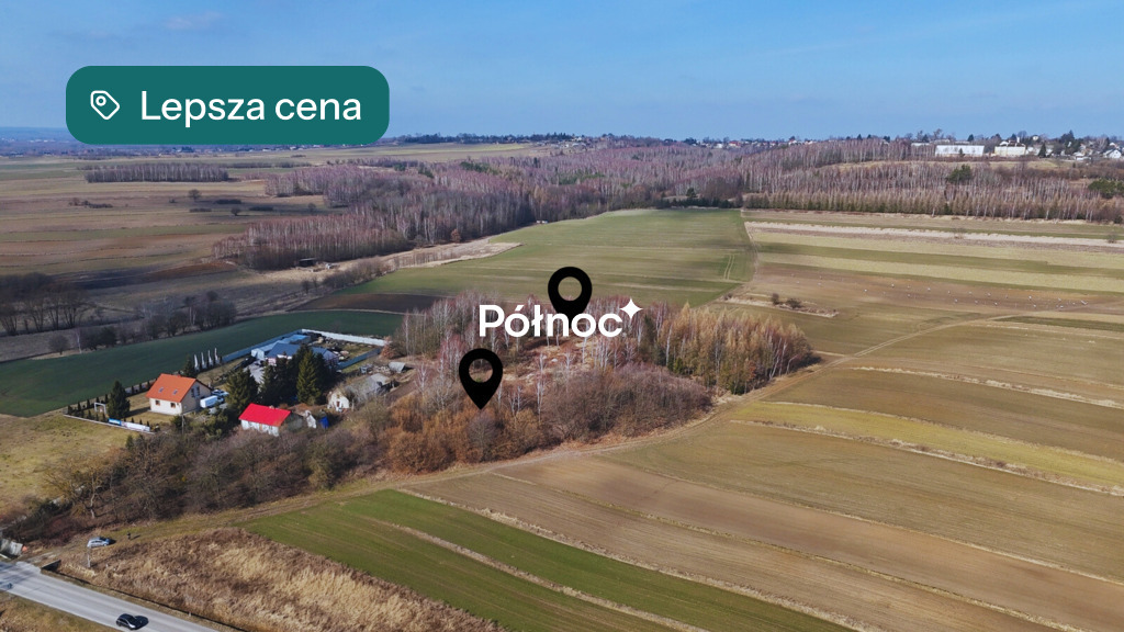 Zdjęcie 6