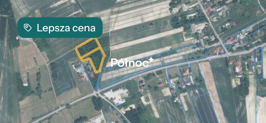 Zdjęcie 7