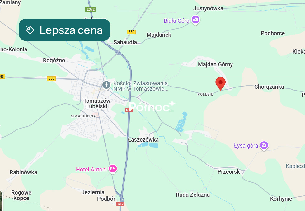 Zdjęcie 10