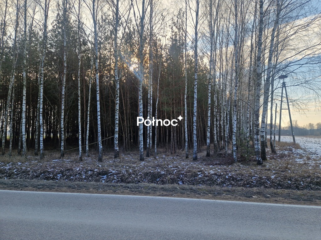 Zdjęcie 2