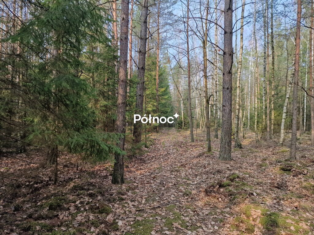 Zdjęcie 2