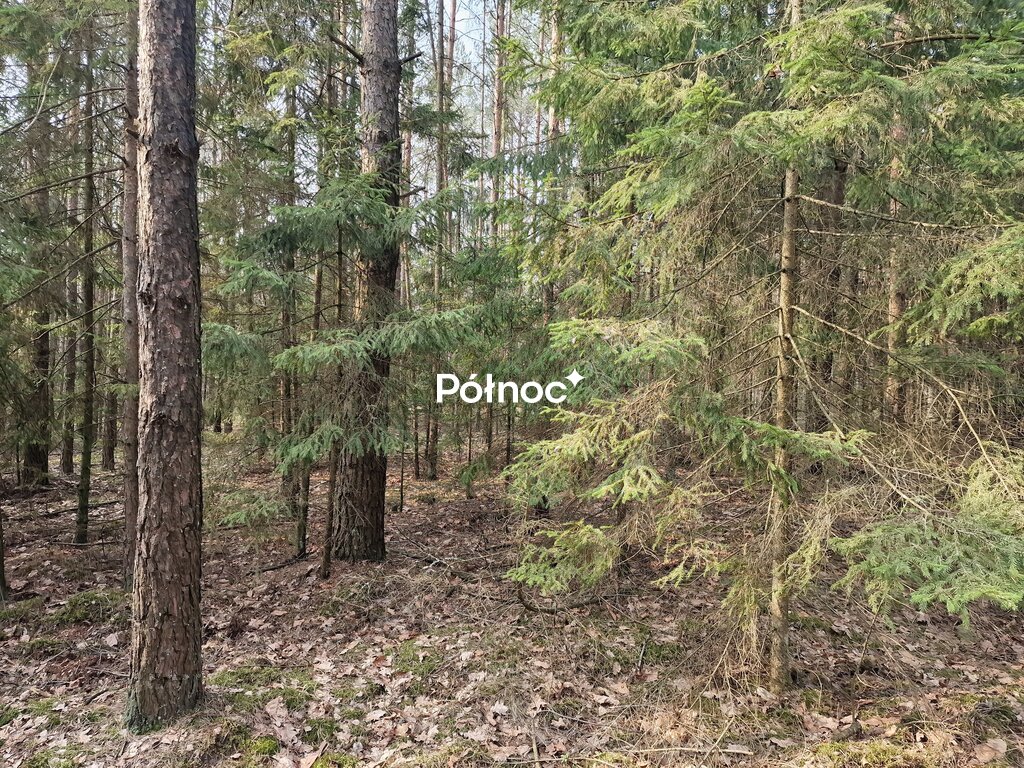 Zdjęcie 3