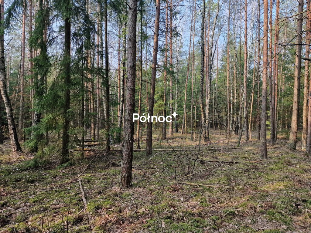 Zdjęcie 4