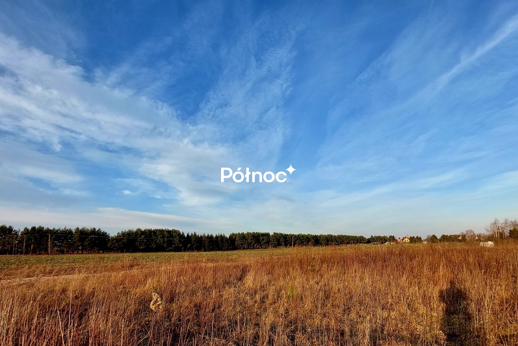 Zdjęcie 4