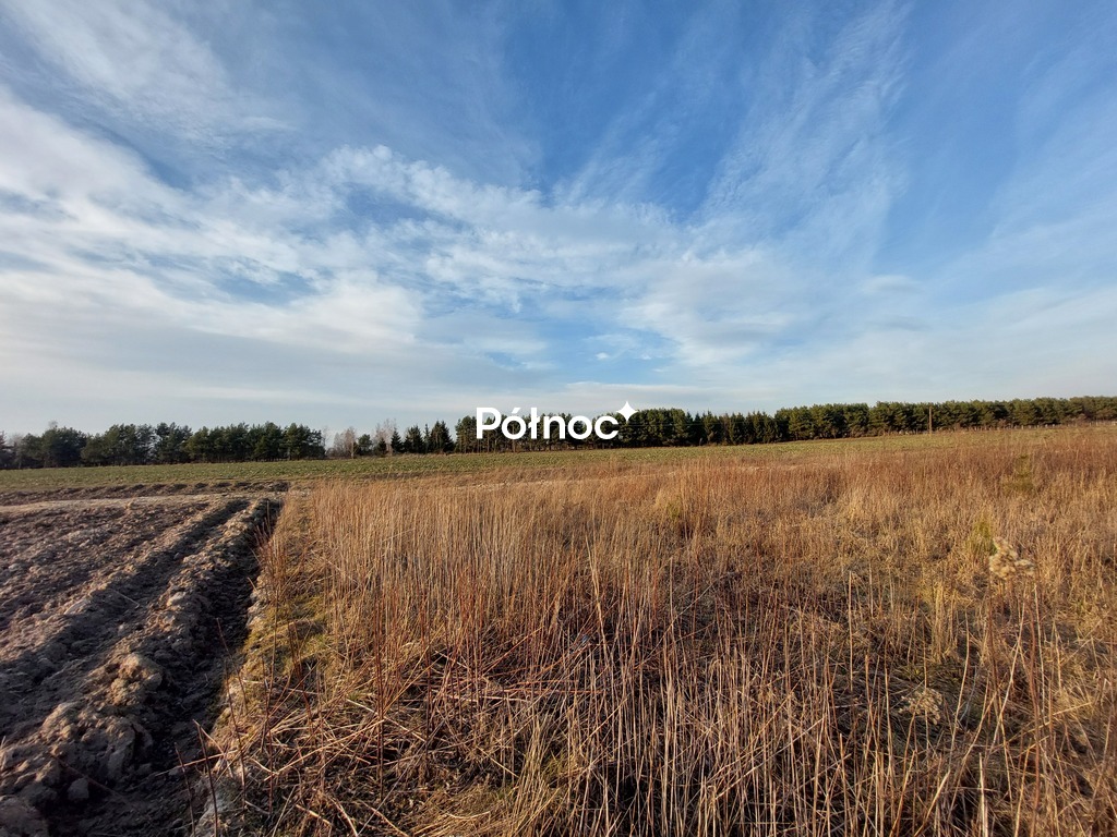 Zdjęcie 6
