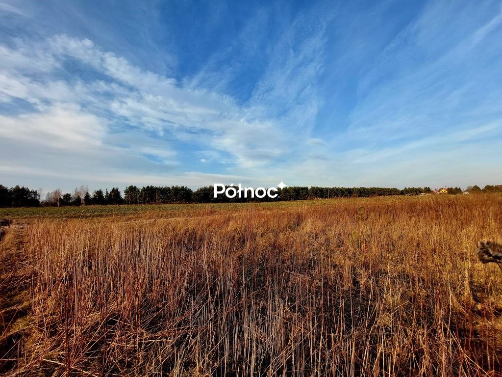 Zdjęcie 7