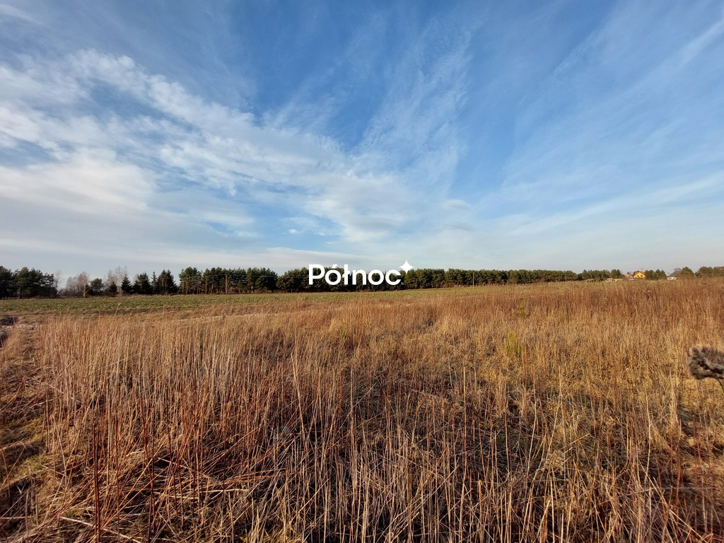 Zdjęcie 8