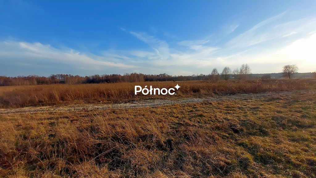 Zdjęcie 10