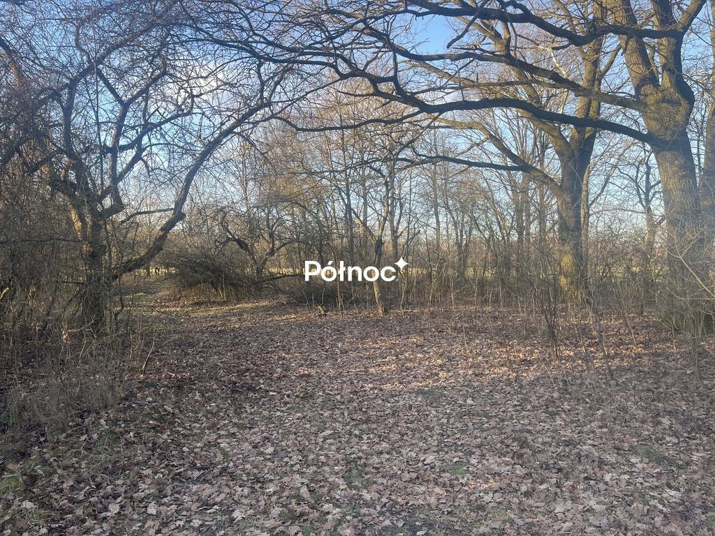 Zdjęcie 2