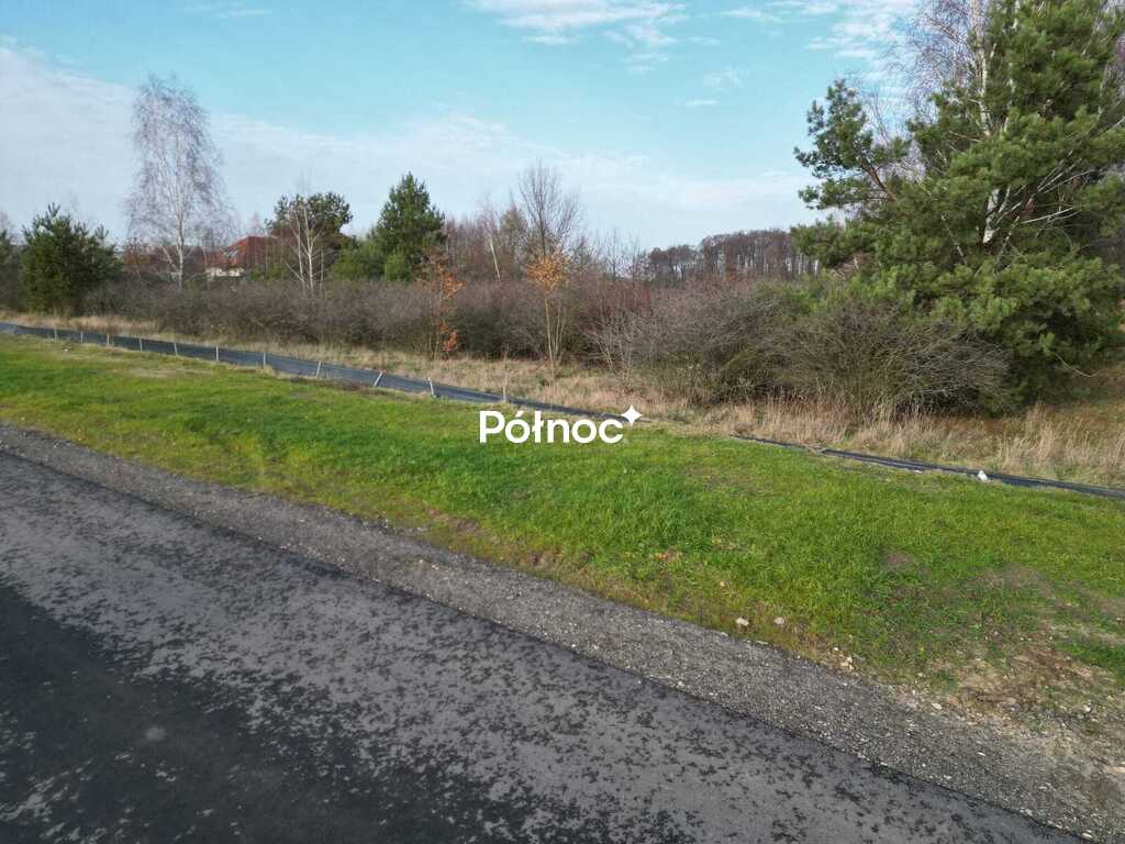Zdjęcie 5