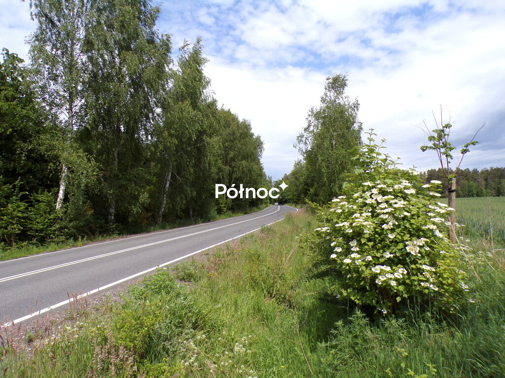 Zdjęcie 2