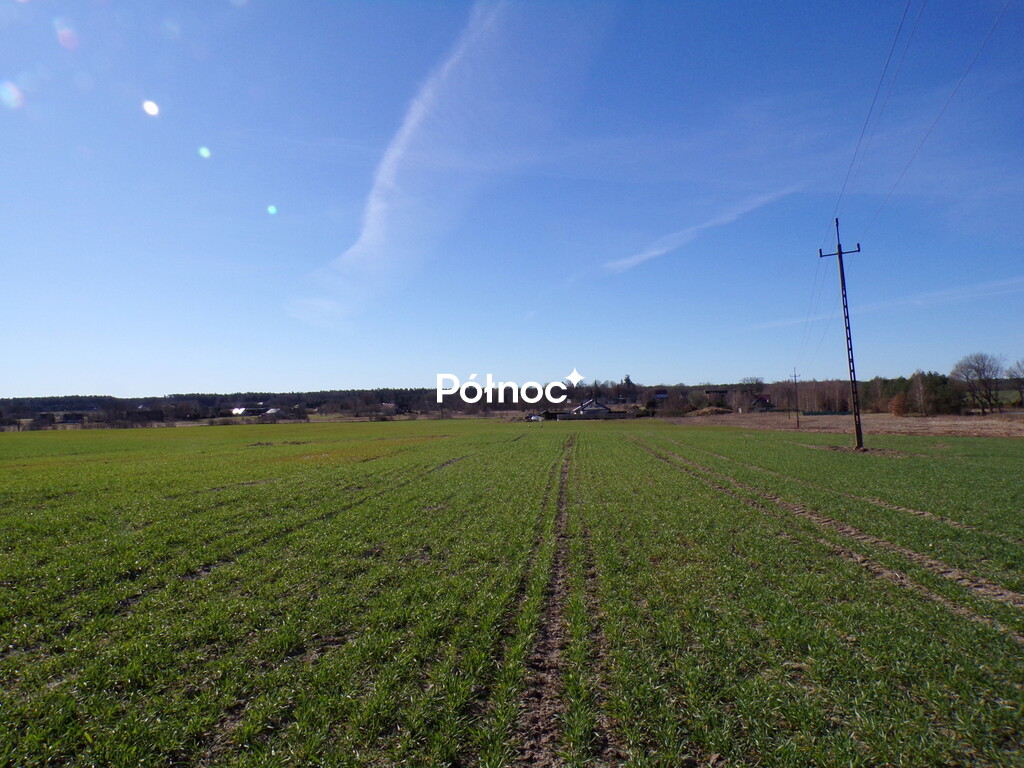 Zdjęcie 10