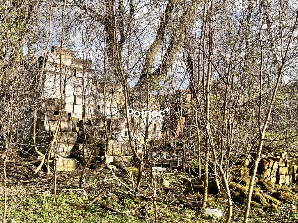 Zdjęcie 8