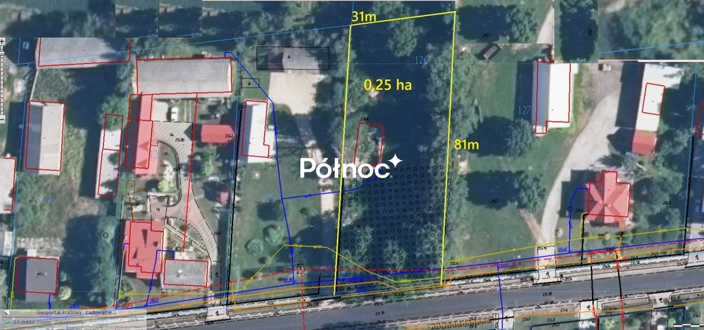 Zdjęcie 10