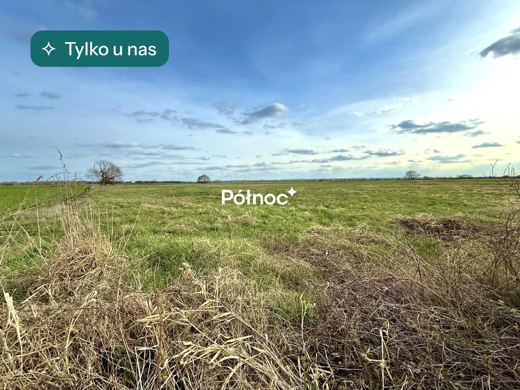 Działka budowlana w Sobczycach