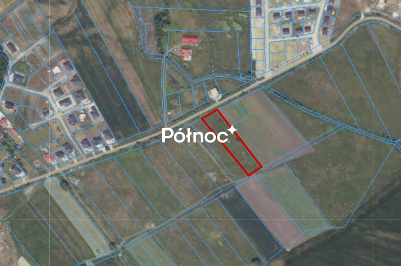 Zdjęcie 10