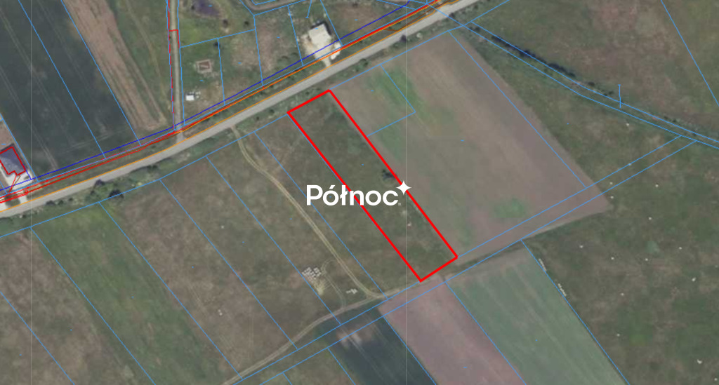 Zdjęcie 11