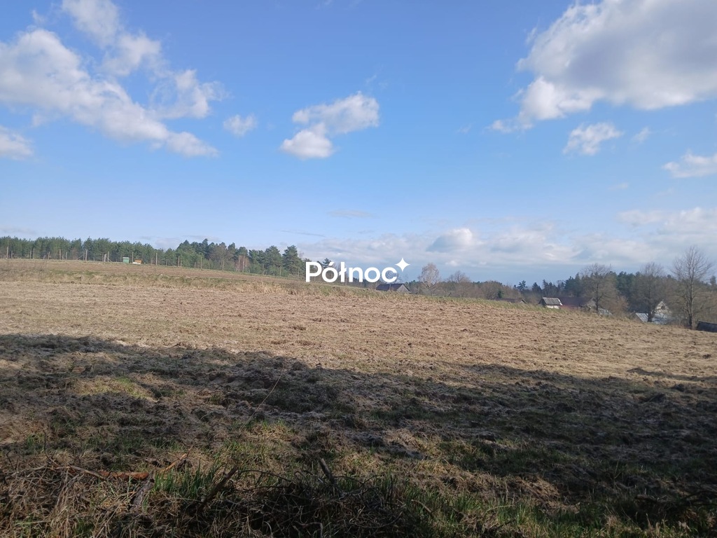 Zdjęcie 5