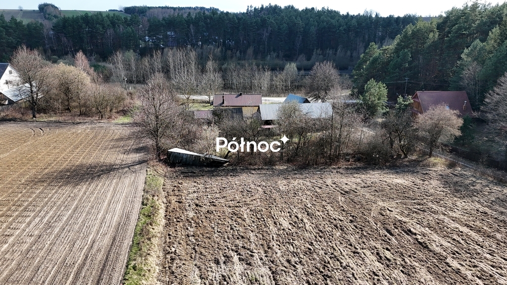 Zdjęcie 6