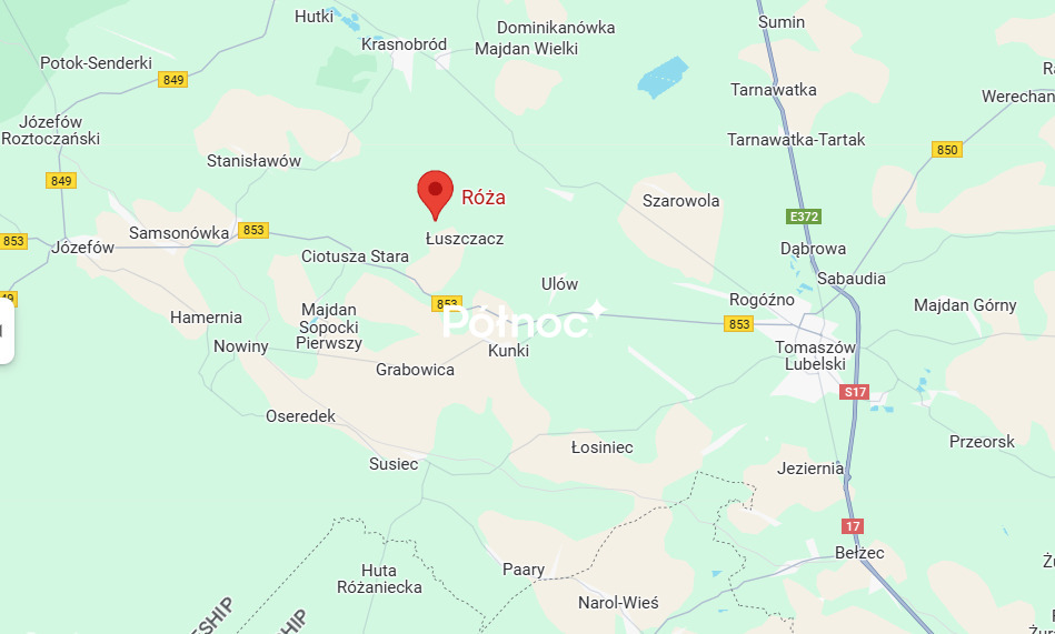 Zdjęcie 9