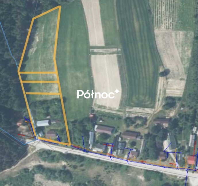 Zdjęcie 10