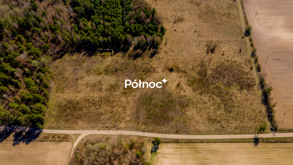 Zdjęcie 4