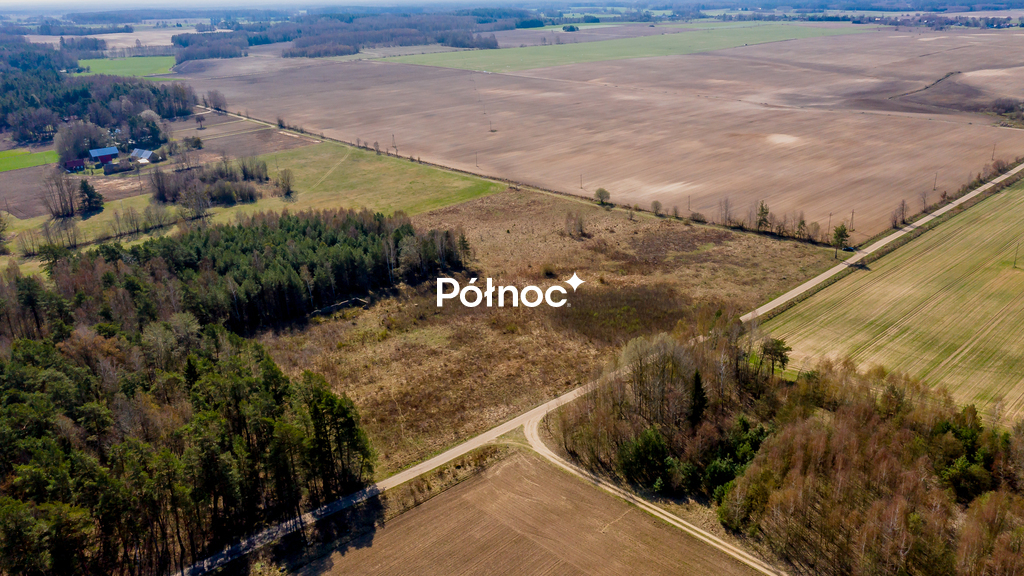 Zdjęcie 8