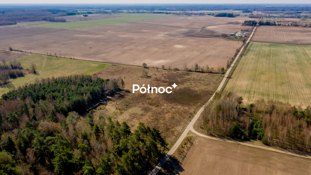 Zdjęcie 9