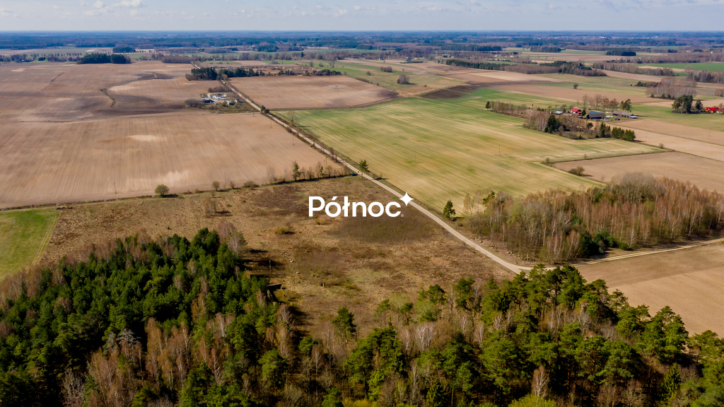 Zdjęcie 10