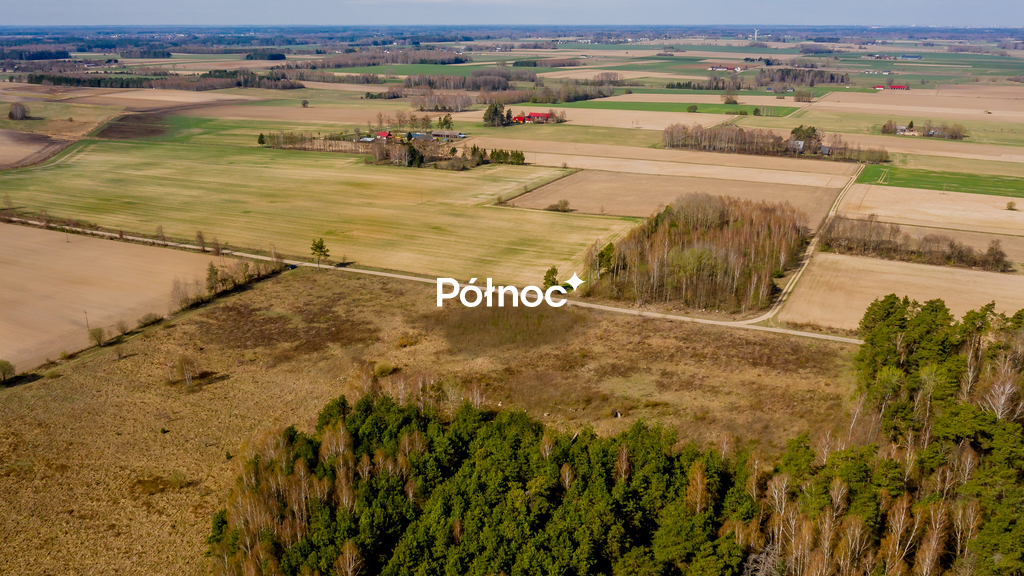 Zdjęcie 11