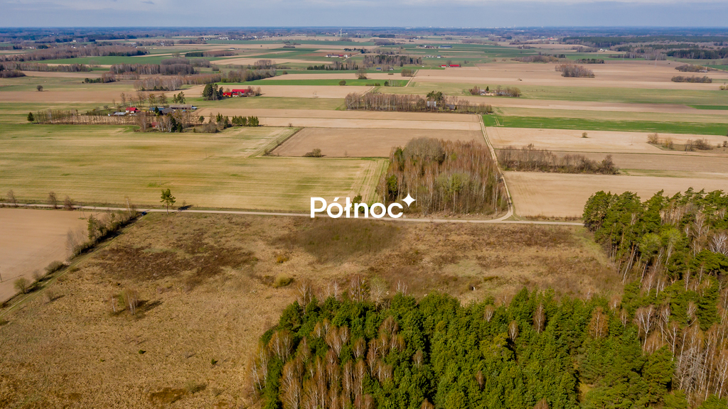 Zdjęcie 12