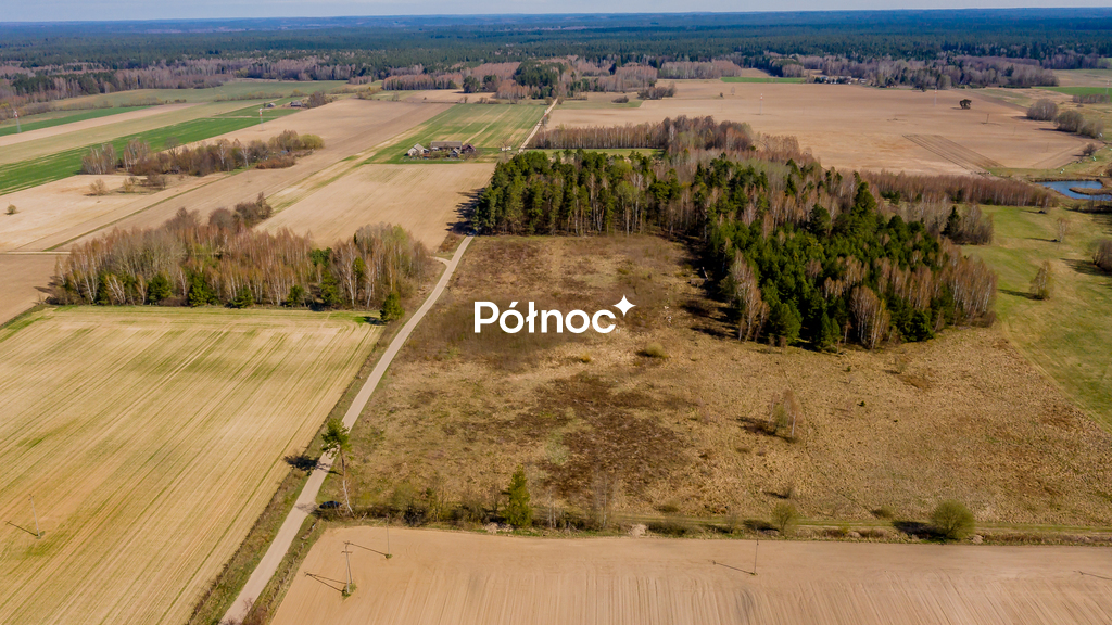 Zdjęcie 14
