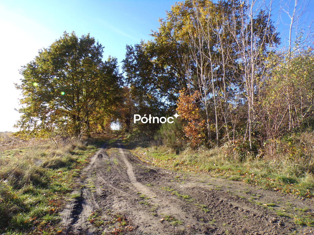 Zdjęcie 5
