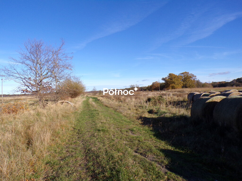 Zdjęcie 9