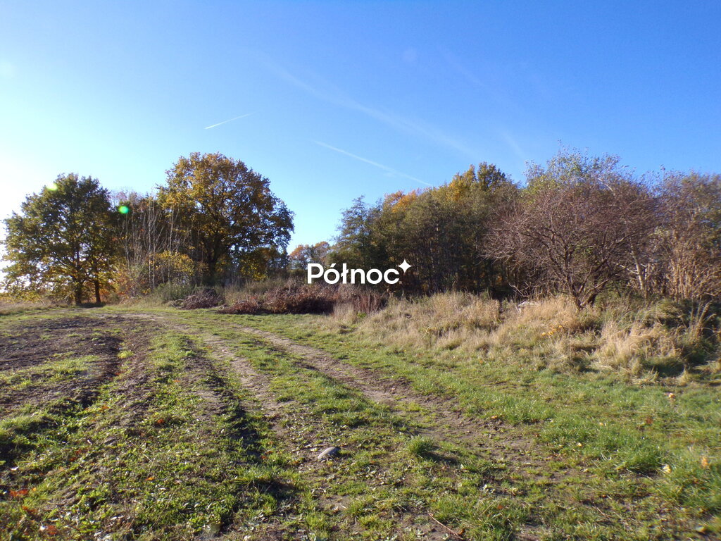 Zdjęcie 12