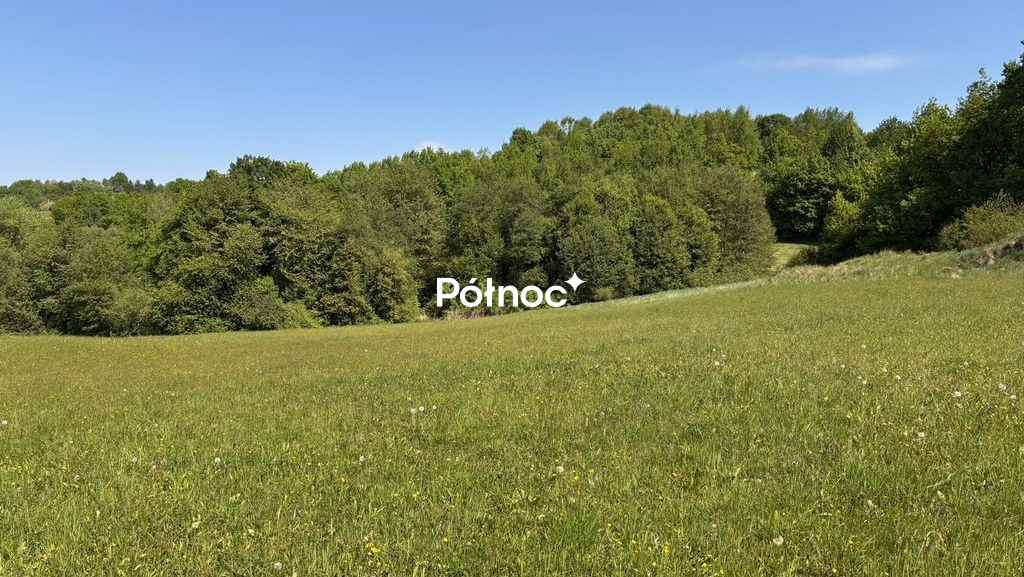 Tarnawa -działka budowlana pod lasem
