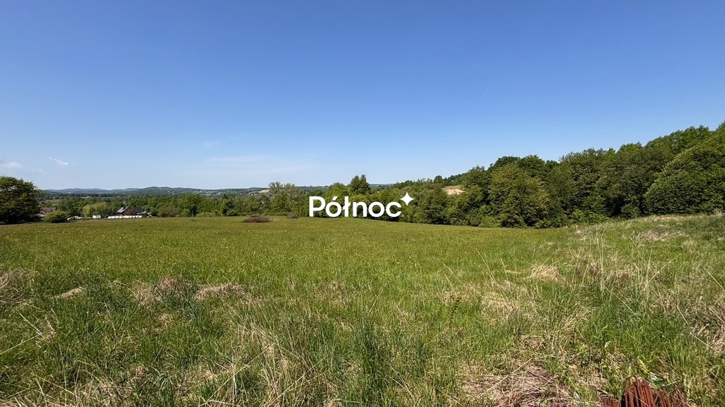 Zdjęcie 3