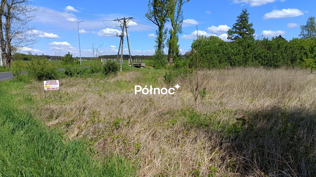 Zdjęcie 7