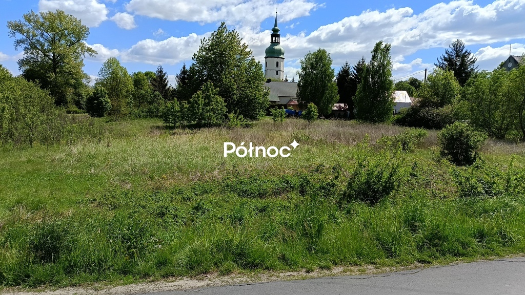 Zdjęcie 8
