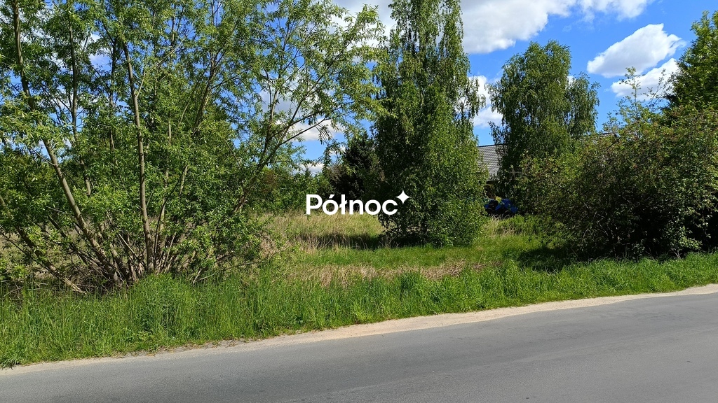 Zdjęcie 9
