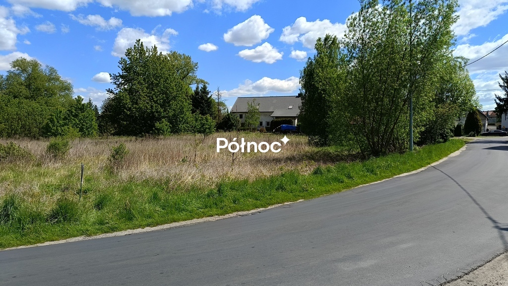 Zdjęcie 10