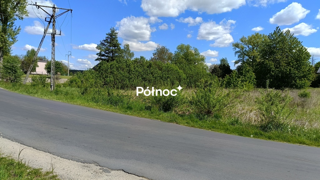 Zdjęcie 11